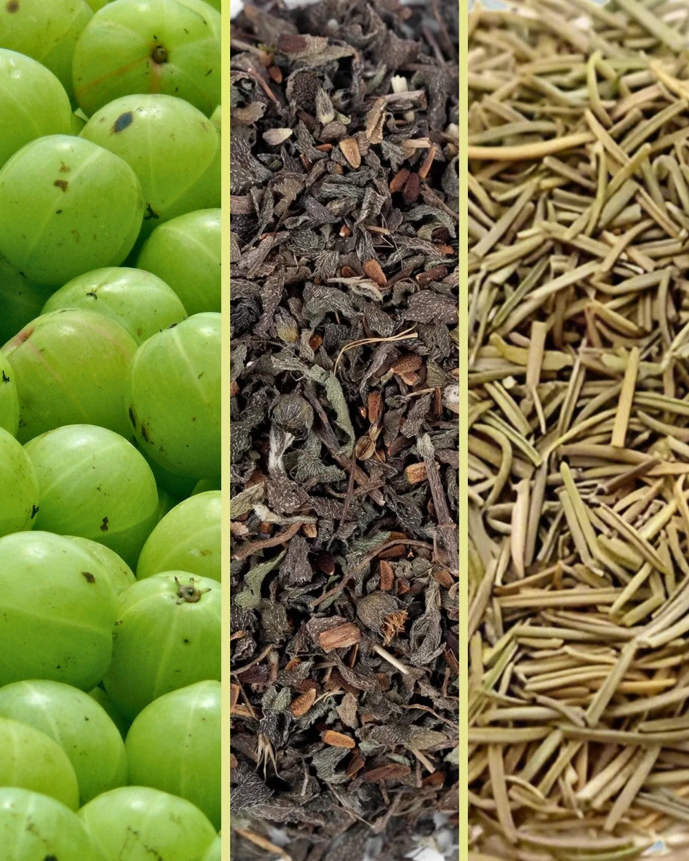 Anti Hair Fall Conditioner [250 ml]