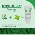 neem tulsi 4